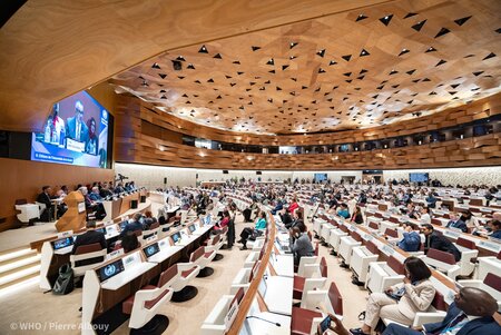 The 79th World Health Assembly