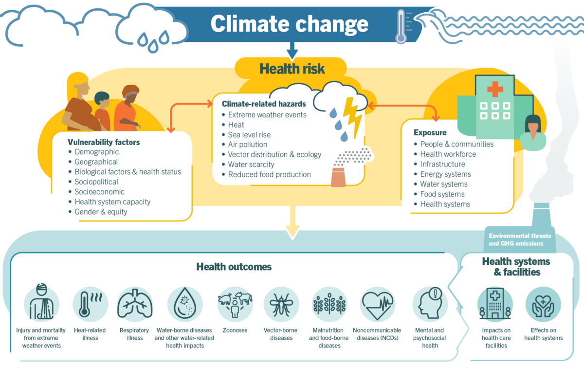 Figure 1: An overview of the pathways between climate change and health.