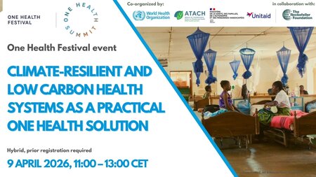 Climate-resilient and low-carbon health systems as a practical One Health solution
