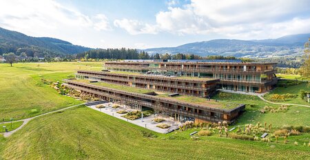 Planetary Health and women with disabilities’ lived experiences of climate impact on health equity in Kenya and Uganda