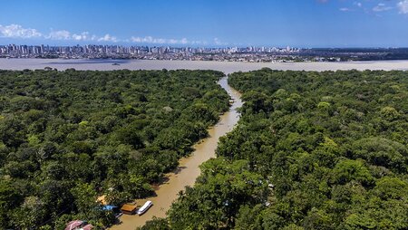 Drone view from Combu Island, with the city of Belem in the background.