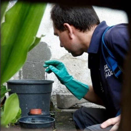 Local, multisectoral coordination Dengue in Rio