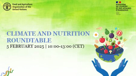 Climate Change and Nutrition: Policy and research roundtable dialogue on integrated climate-nutrition action